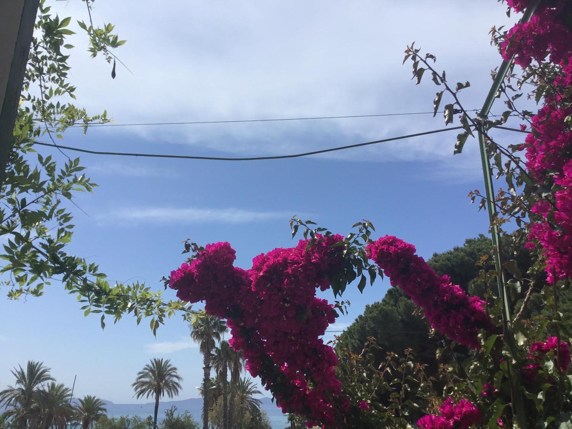 Hotel L'Ilot Fleuri Le Lavandou Zewnętrze zdjęcie